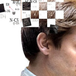 O filme xadrez das cores - O Xadrez das Cores O filme O Xadrez das Cores ,  de Marco Schiavon, foi - Studocu